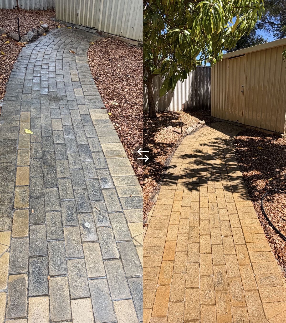 Before and after softwash of a paved path